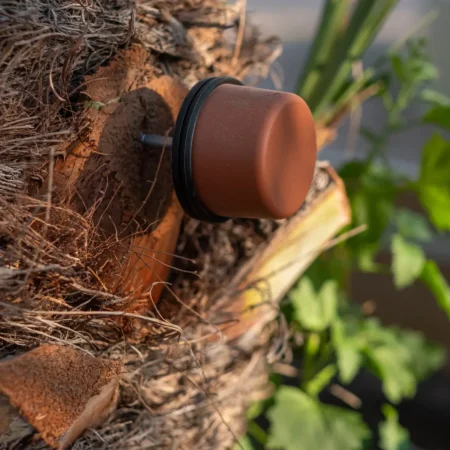 Sensor IoTree para palmeras con licencia 12 meses y batería