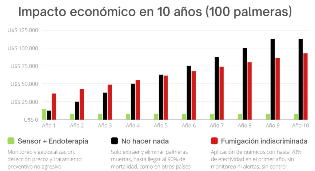 El impacto económico del Picudo rojo en 100 palmeras ornamentales