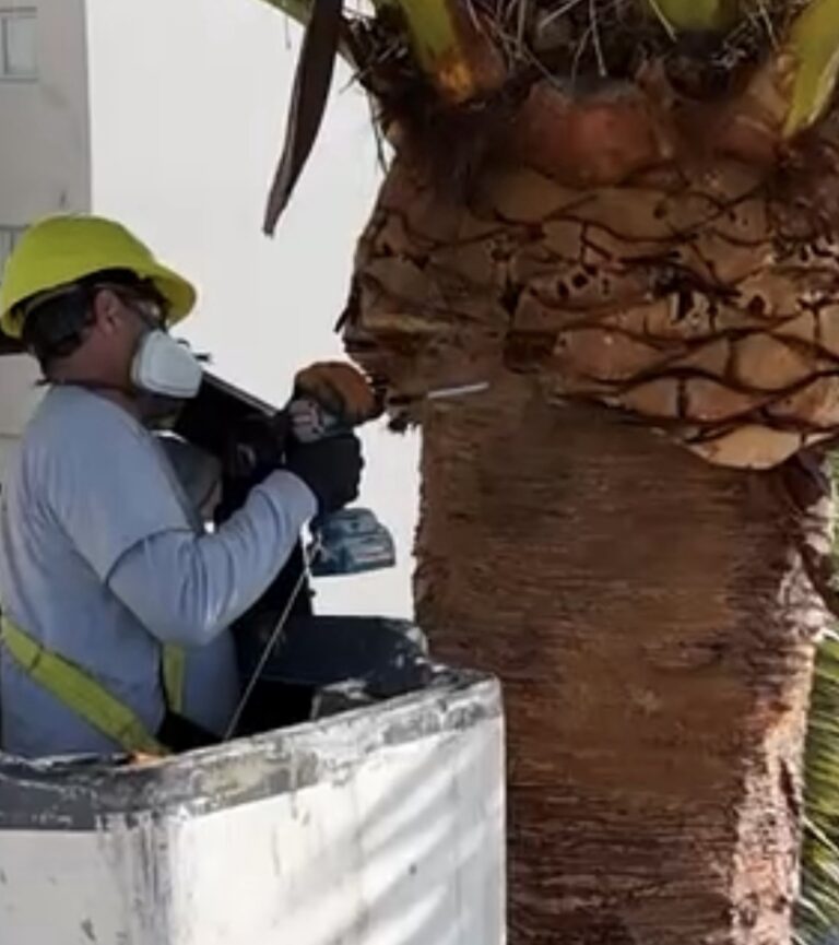 Colocación del tornillo sonda